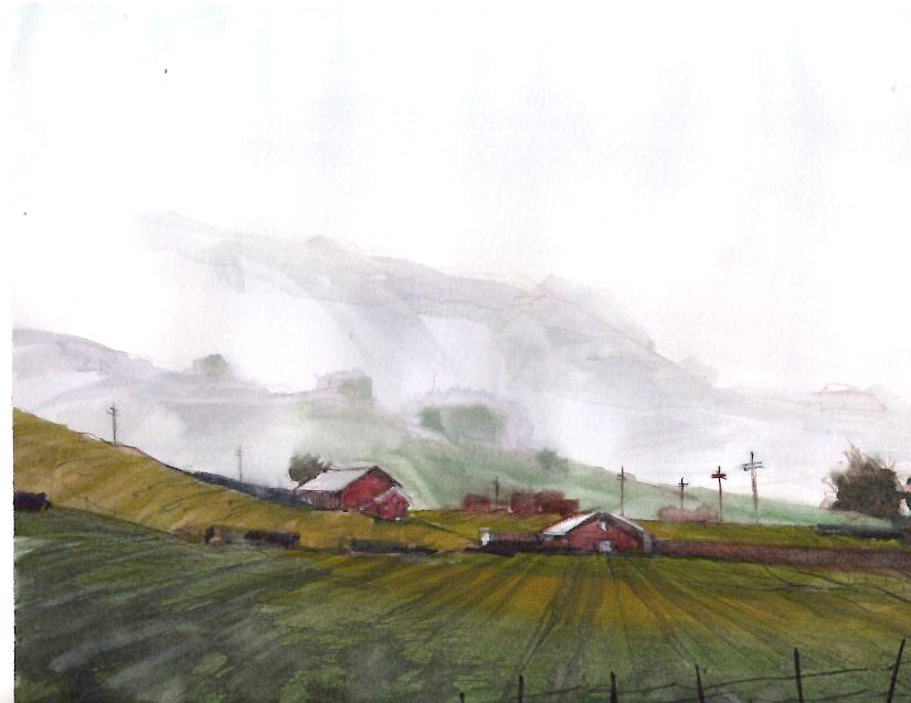 Foggy Landscape