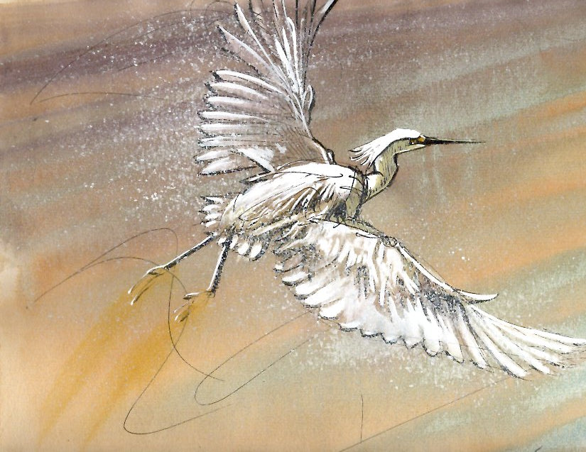 Fly Away