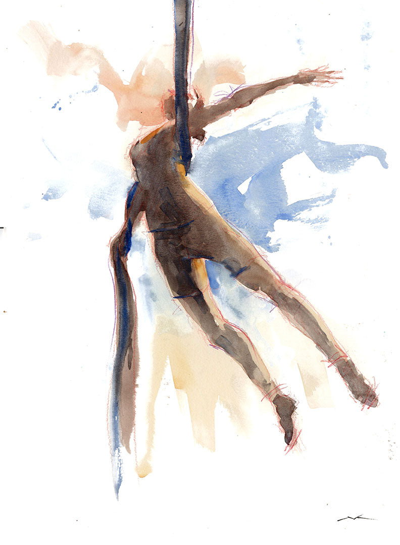 Silks