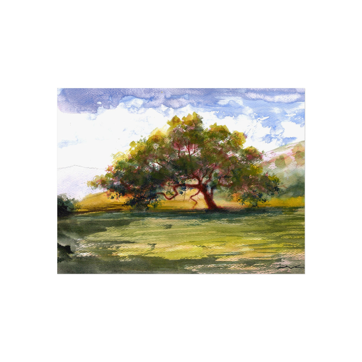 Landscape Tree Fine Art Poster — Watercolor Oak Sunset Wall Art