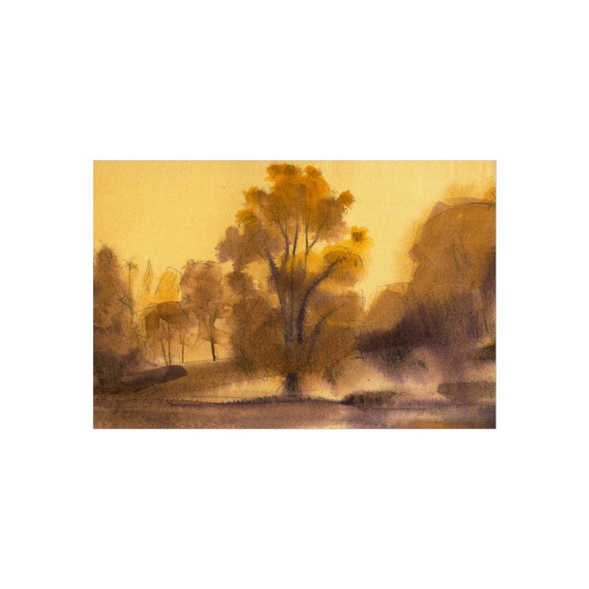 Sunlit Meadow Fine Art Poster