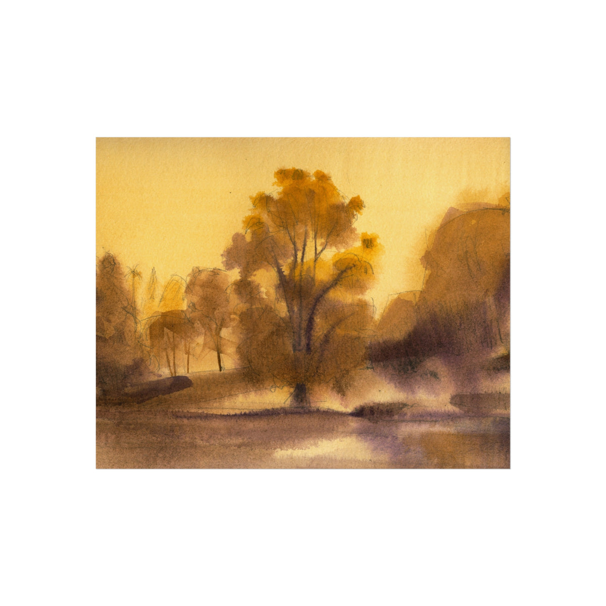 Sunlit Meadow Fine Art Poster