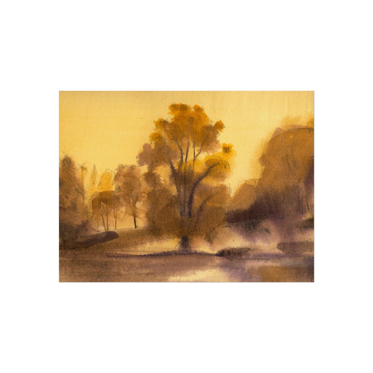 Sunlit Meadow Fine Art Poster
