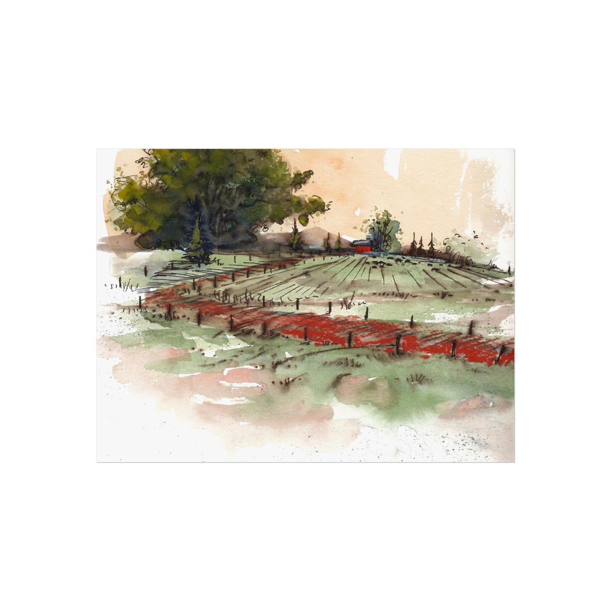 Countryside Vineyard Fine Art Poster — Watercolor Landscape Wall Art