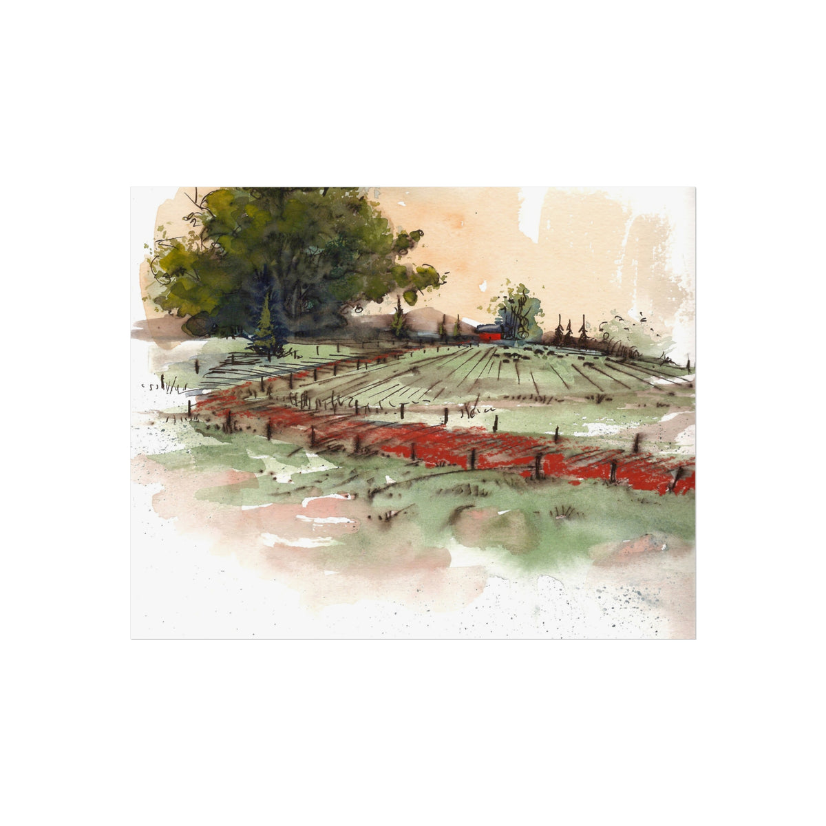 Countryside Vineyard Fine Art Poster — Watercolor Landscape Wall Art