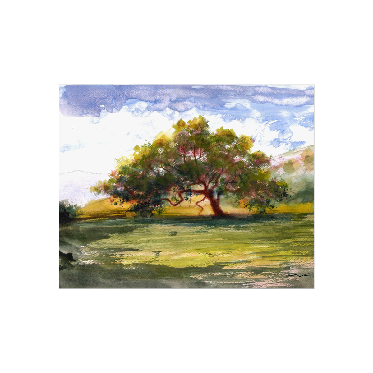 Landscape Tree Fine Art Poster — Watercolor Oak Sunset Wall Art
