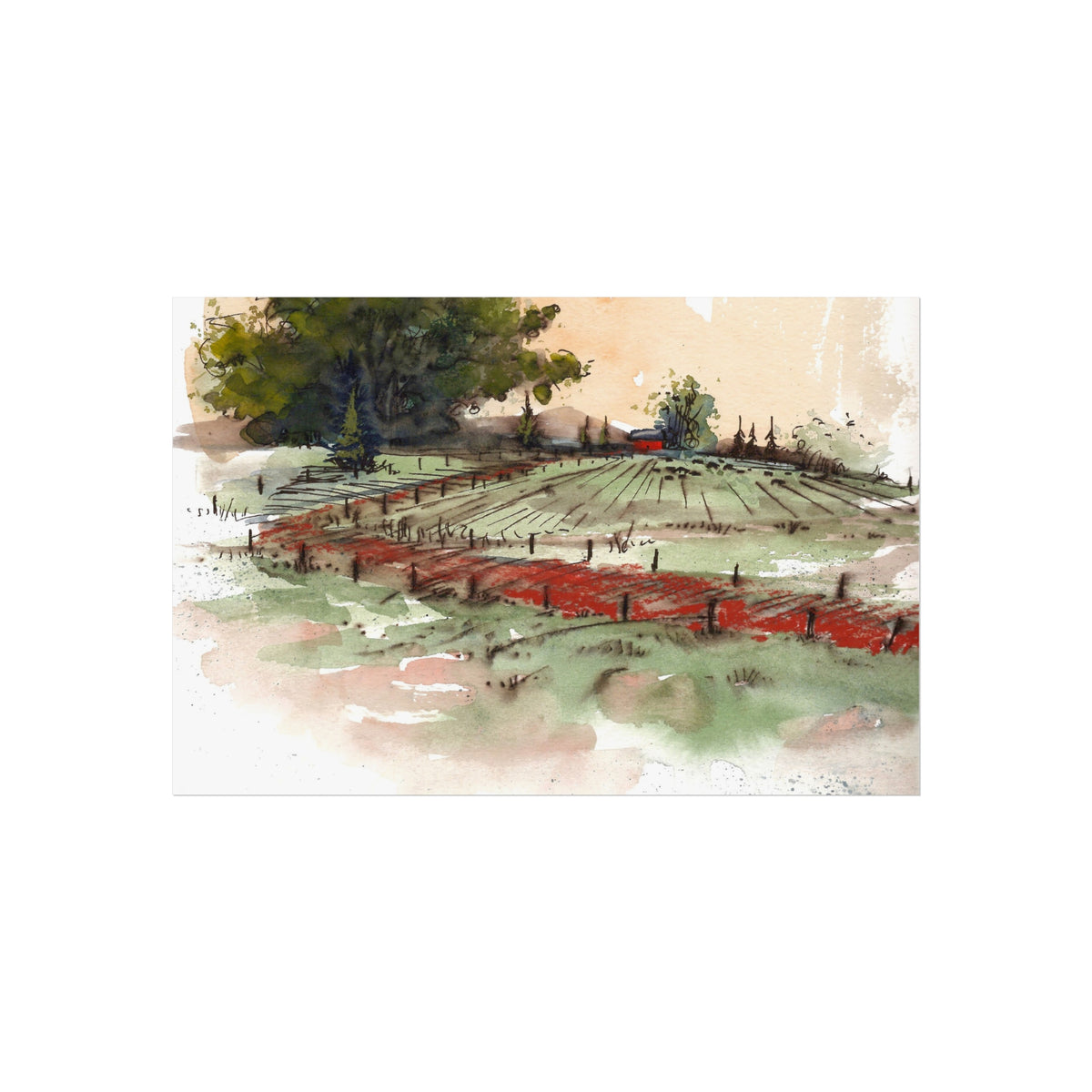 Countryside Vineyard Fine Art Poster — Watercolor Landscape Wall Art