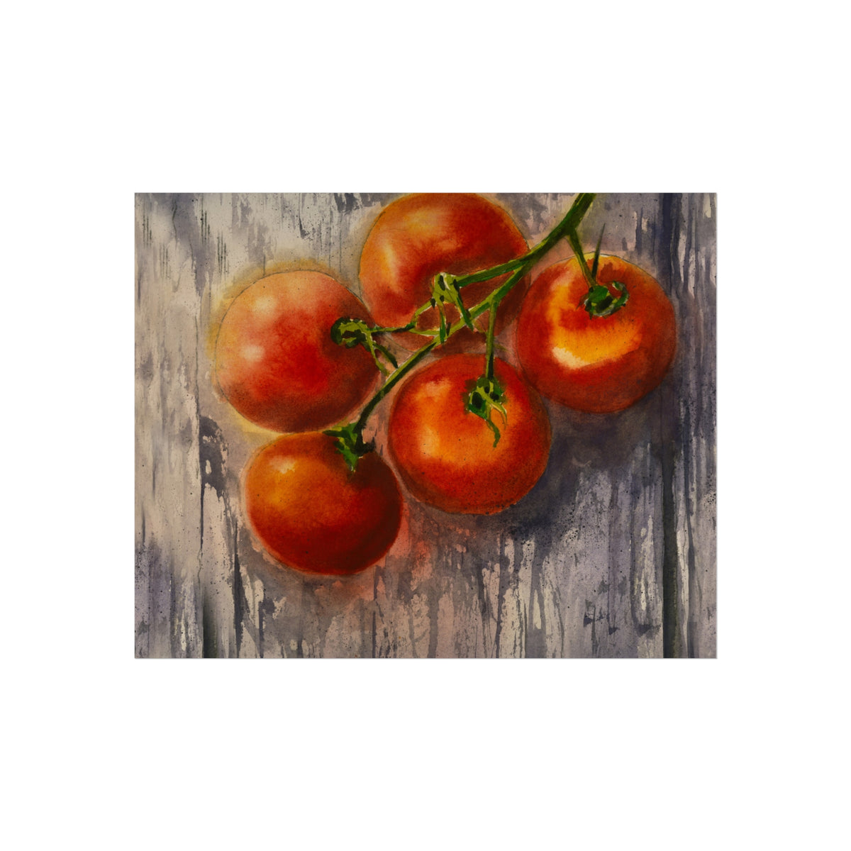 Tomato Vine Fine Art Poster — Kitchen Wall Art Print