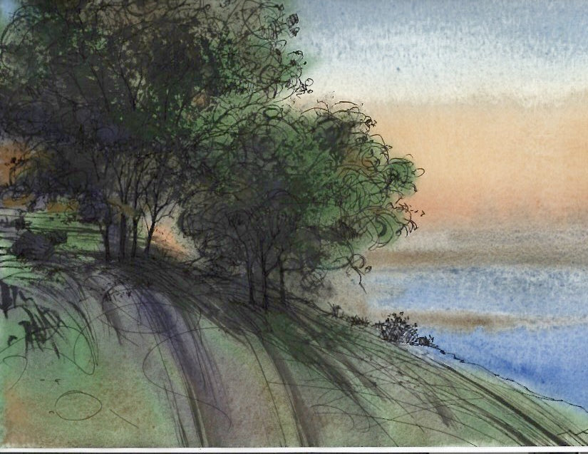 Hillside Trees