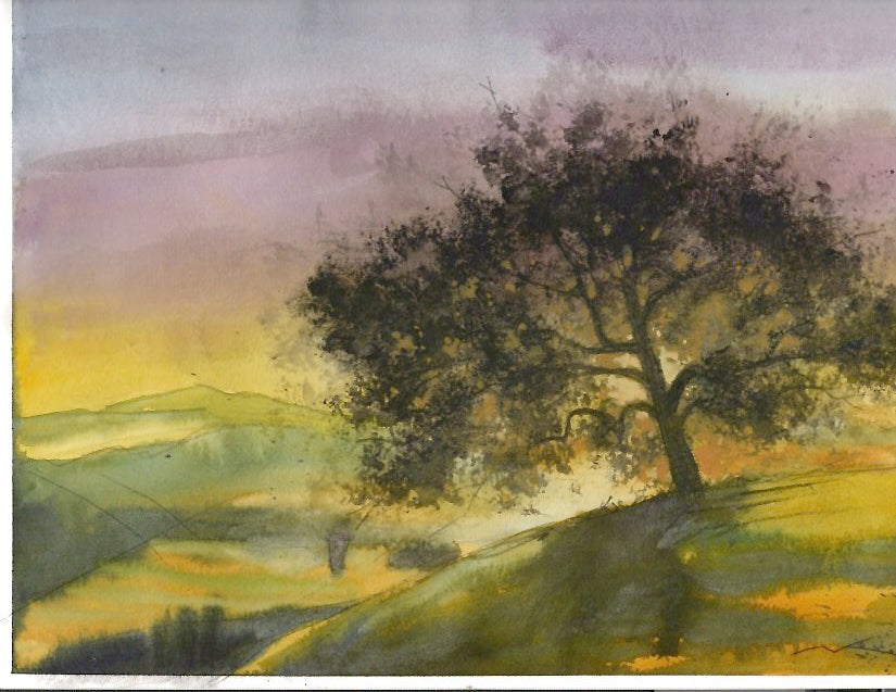 Hilltop Tree