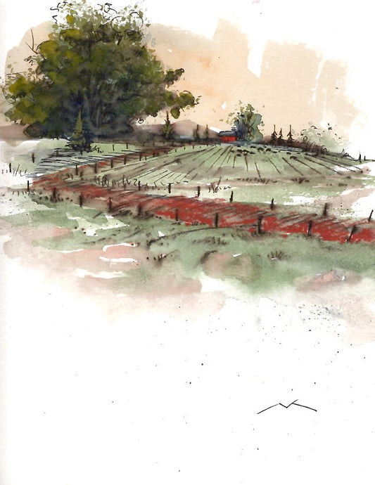 Country Path