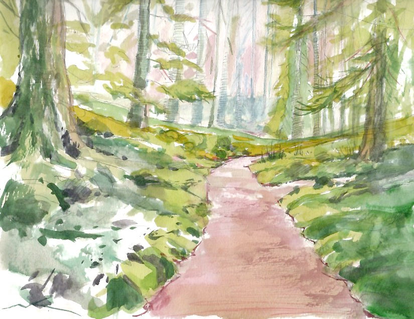 Redwood Path