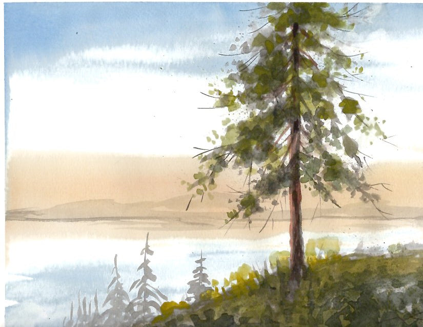 Lake Pine