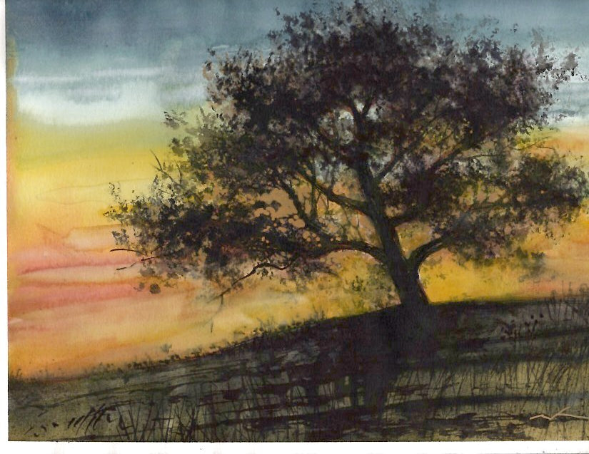 Silhouette Tree