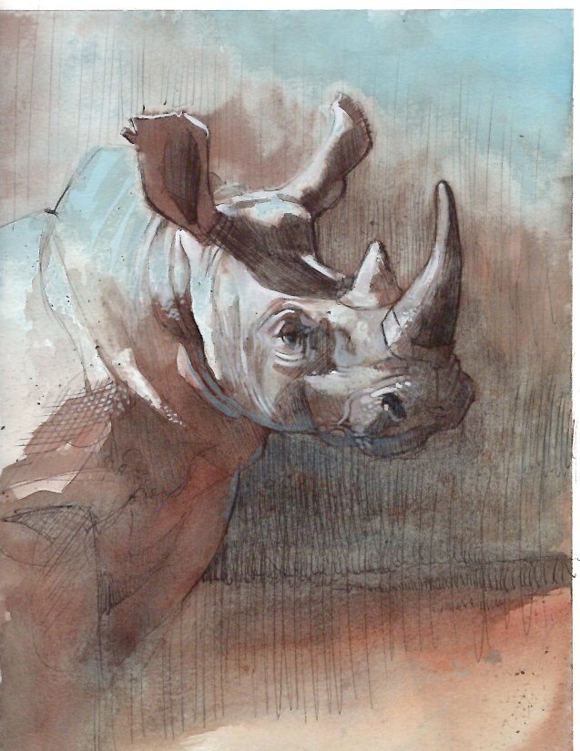 Rhino (Copy)