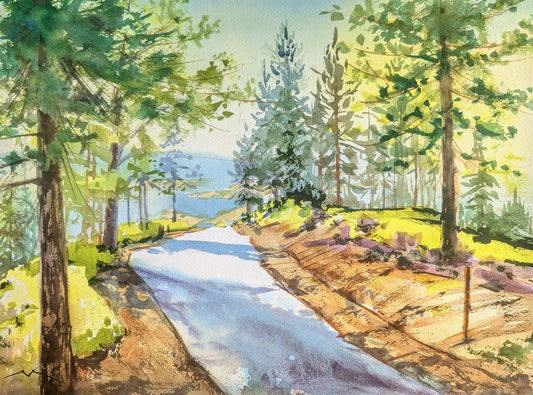 Angora Lake Rd